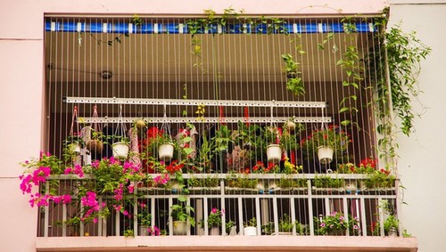 20160525145810 ban cong hoa3 Chiêm ngắm những căn hộ chung cư đẹp hút hồn nhờ ban công hoa